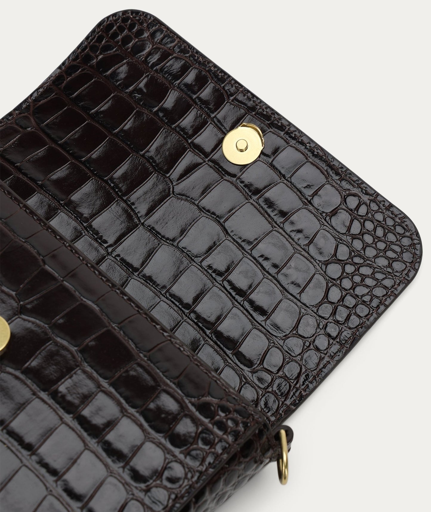 Deadly Ponies | Mr D - Rex | Espresso Croc | Palm Boutique