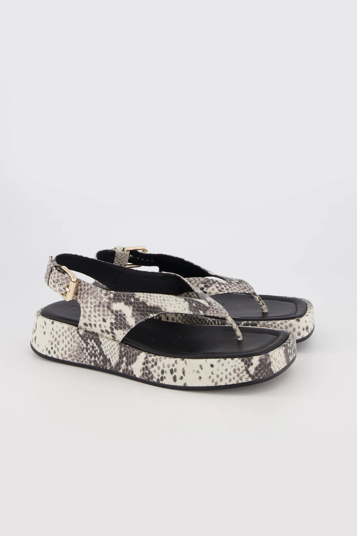 Bronwyn | Jocelyn | Natural Snake | Palm Boutique