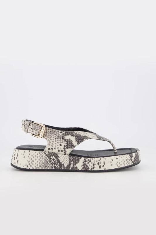 Bronwyn | Jocelyn | Natural Snake | Palm Boutique