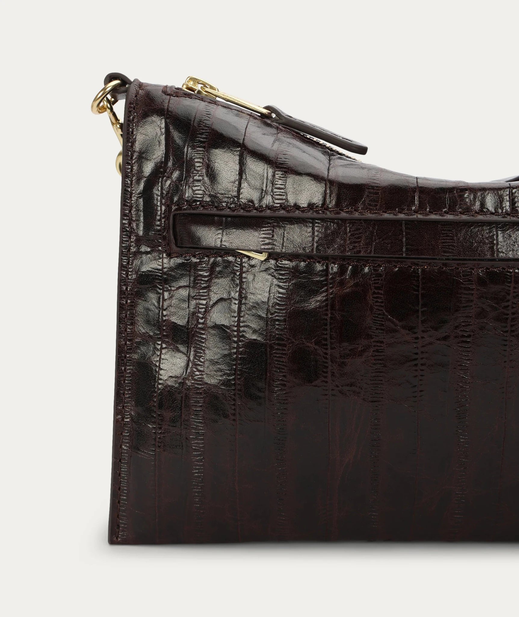 Deadly Ponies | Mr Siamese | Java Eel | Palm Boutique